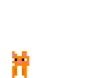 kitty cat