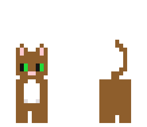 little kitten