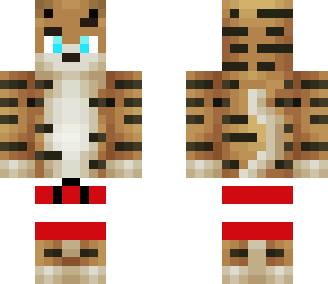 tigre verano 2