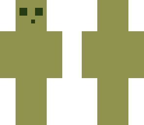 camoflash 