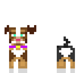 girly doggy
