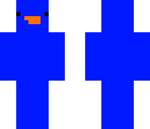 blue duck