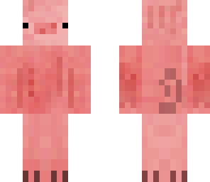 pig