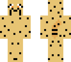 cheetah