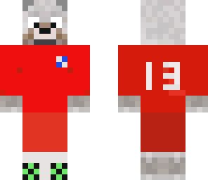 soccer dog