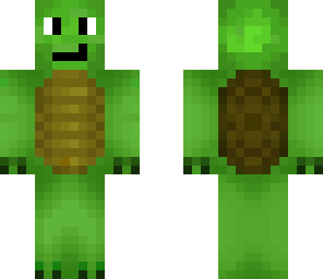 cool turtle