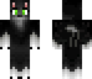cute cat