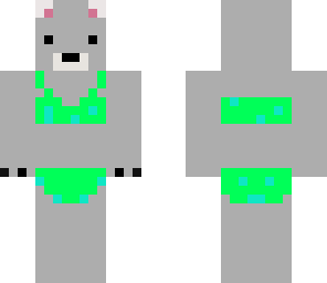 summer koala