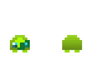 tiny turtle