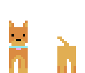 adorable puppy