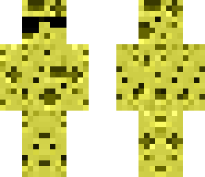 mlg sponge