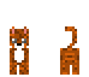 brown kitty
