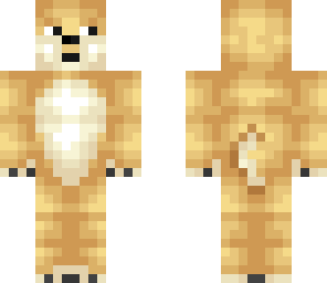 doge yhe dog