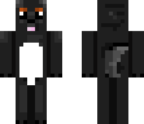 lupa the black lab