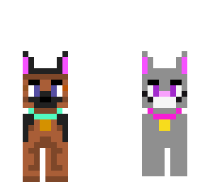 dog and cat