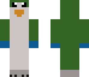 archie the quaker parrot