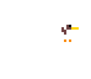 bird