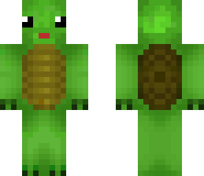 cute turtle