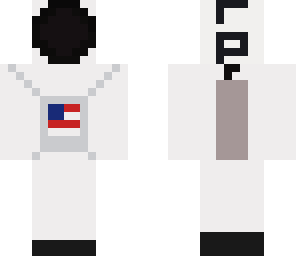 upa space pig