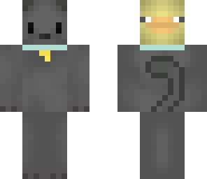a cat