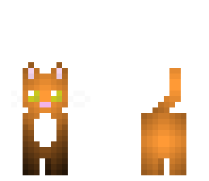 orange kitty