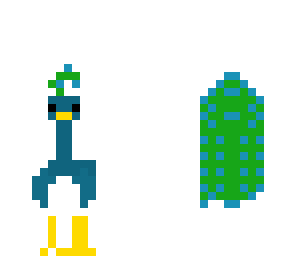 peacock