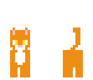 orange tabby cat
