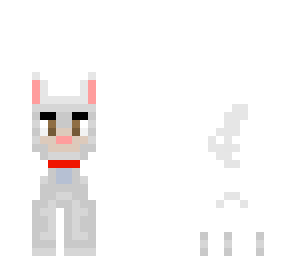 white dog