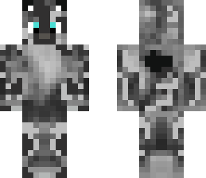 racconkit two