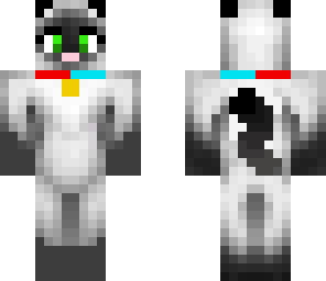 pet kitty