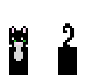 the black cat