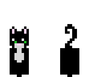 the black cat