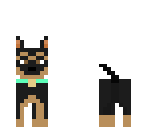 german shepard