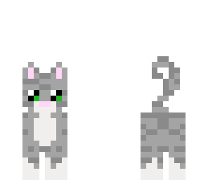 my cat chloe