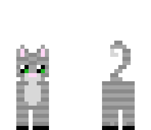 cute cat