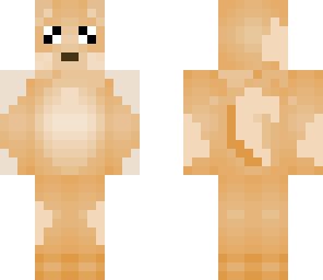 my pomeranian