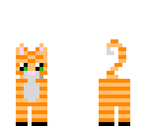 my cute kitty