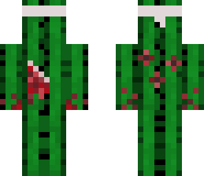 cactus zombie survivor