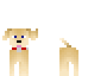 golden dog