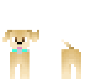 my pup
