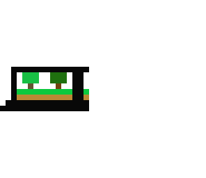 ccomputer