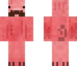 pig