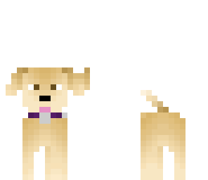 cute dog