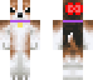 fm beagal with redbow