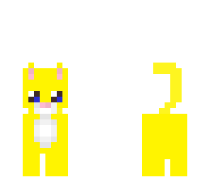 little yelow cute cat
