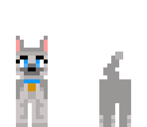 puppy