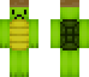 cowboy turtle