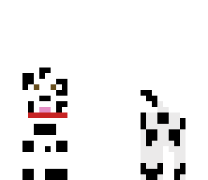 dalmatian puppy