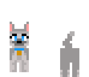 puppy with cast
