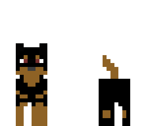 rottweiler for my friend